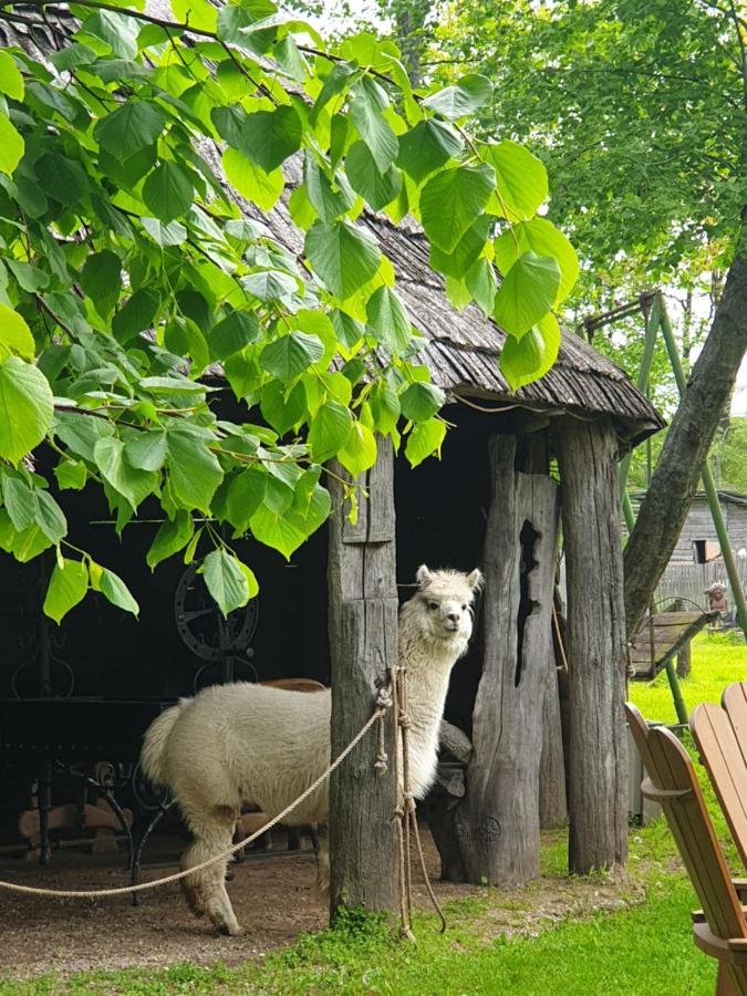 Vienkiemis Pension Kretinga Buitenkant foto